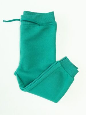 Спортивные брюки с начесом для мальчика цвет зеленый с резинкой в поясе рост 92 см Primark